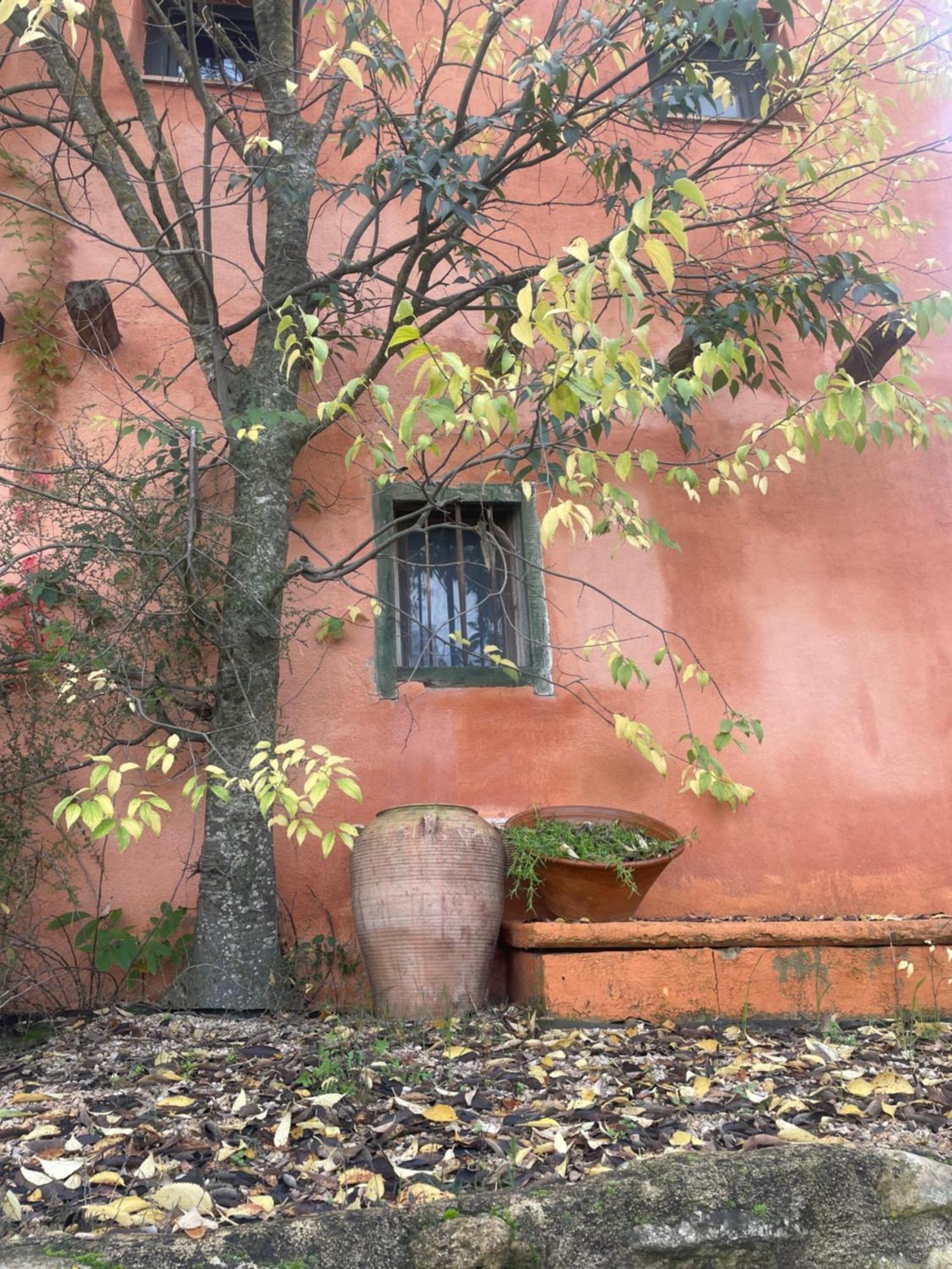 Maset Del Riu Pensionat Valderrobres Exteriör bild